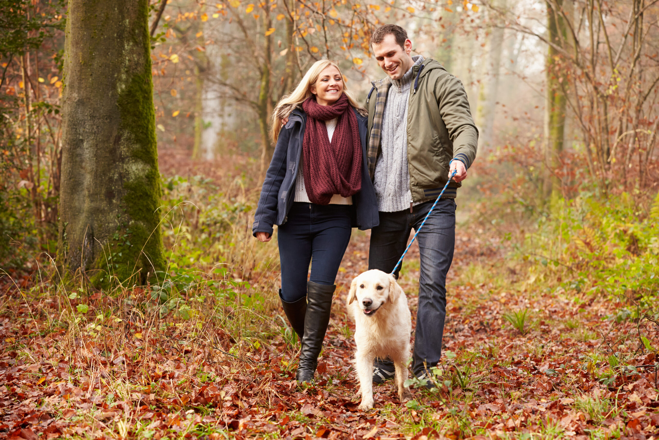 Clear the Way to Better Hearing: Expert Ear Wax Removal at Hear Always
